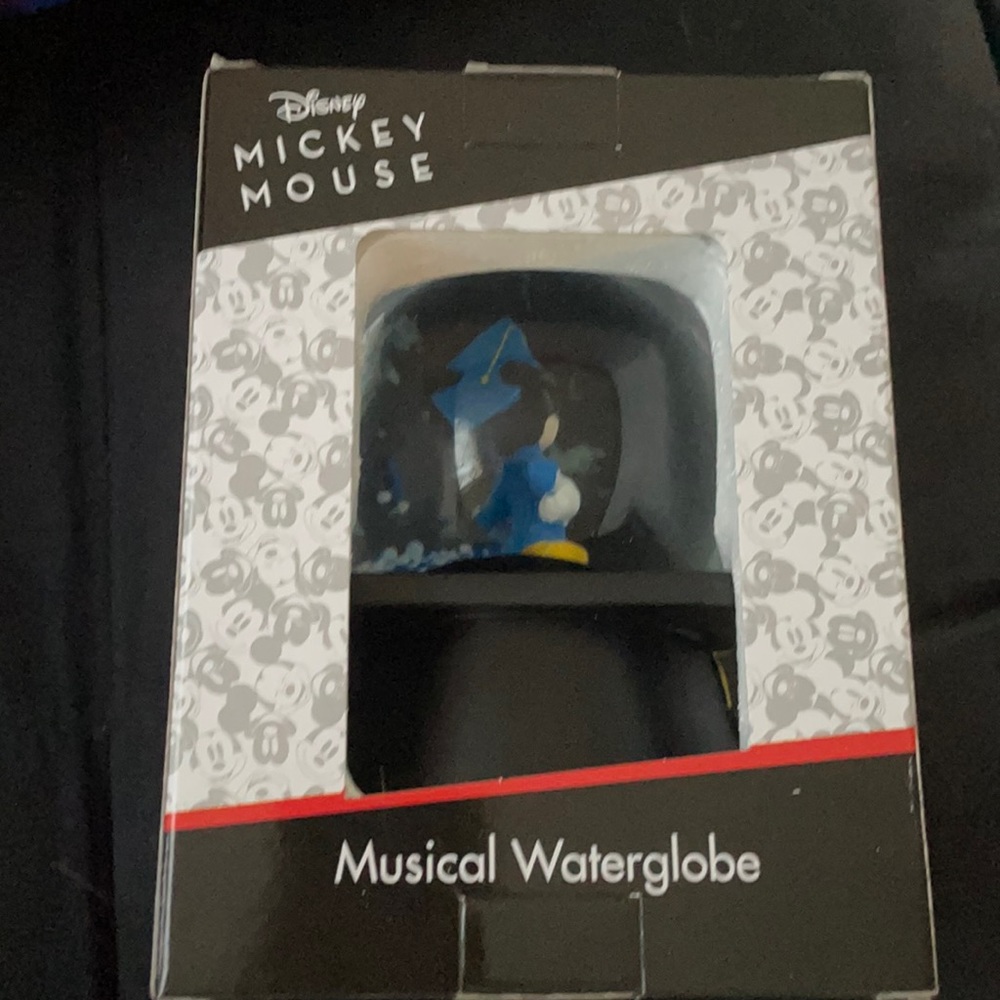 Mickey Mouse class of 2021 globe nice